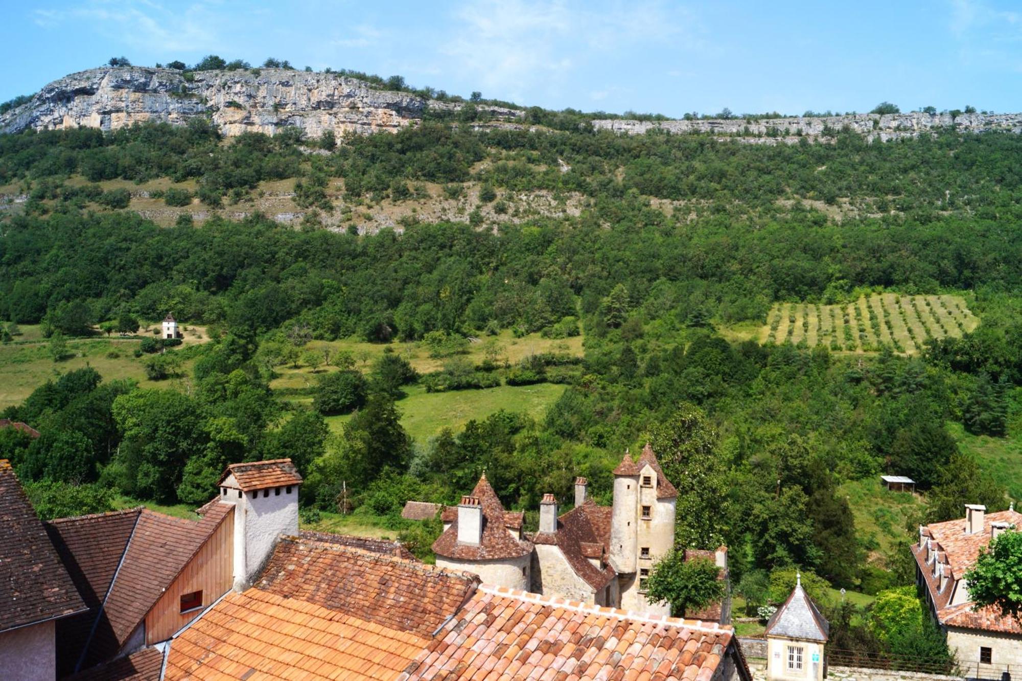 奥特埃尔Manoir De Laroque Delprat住宿加早餐旅馆 外观 照片